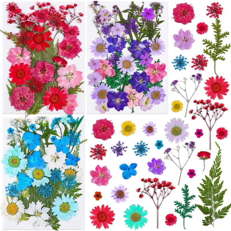 Thrilez 100Pcs Dried Pressed Flowers for Resin Crafts, Small Dried Flower Natural Herbs Pressed for Scrapbooking Greeting Card DIY Bookmark Resin Epoxy Accessories Nails Decor Soap and Candle Making - Image 1
